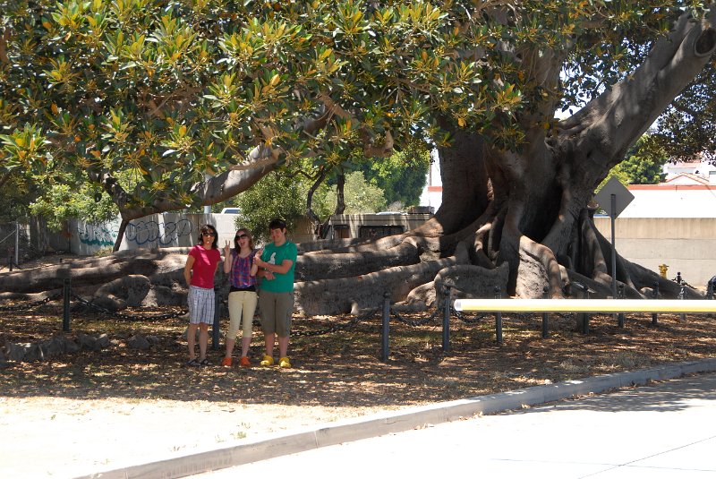 2011-07-24_Santa Barbara_Tag29_037.jpg